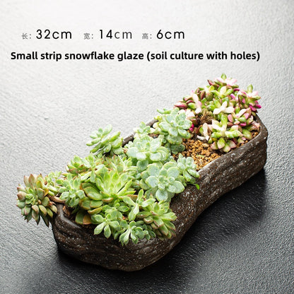 Creative Hydrocotyle Hydroponic Succulent Plant With No Hole Decorative Potted Ornaments