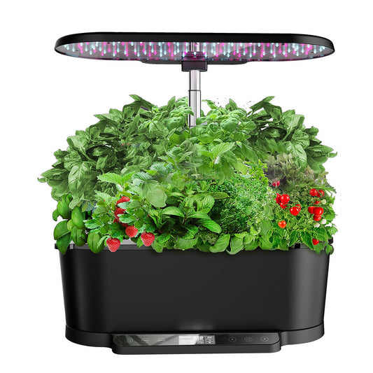 Innovative Hydroponics Machine with LCD WiFi