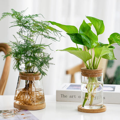 Transparent Simple Creative Hydroponic Plant Glass Vase