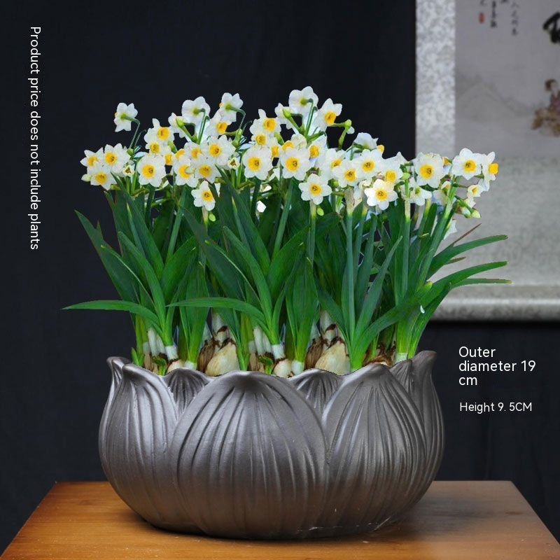 Non-porous Hydroponic Flowerpot Narcissus Hydrocotyle Household