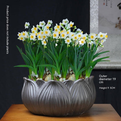 Non-porous Hydroponic Flowerpot Narcissus Hydrocotyle Household