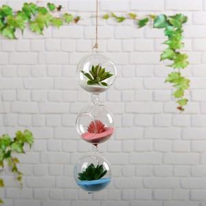 Hydroponic glass vase