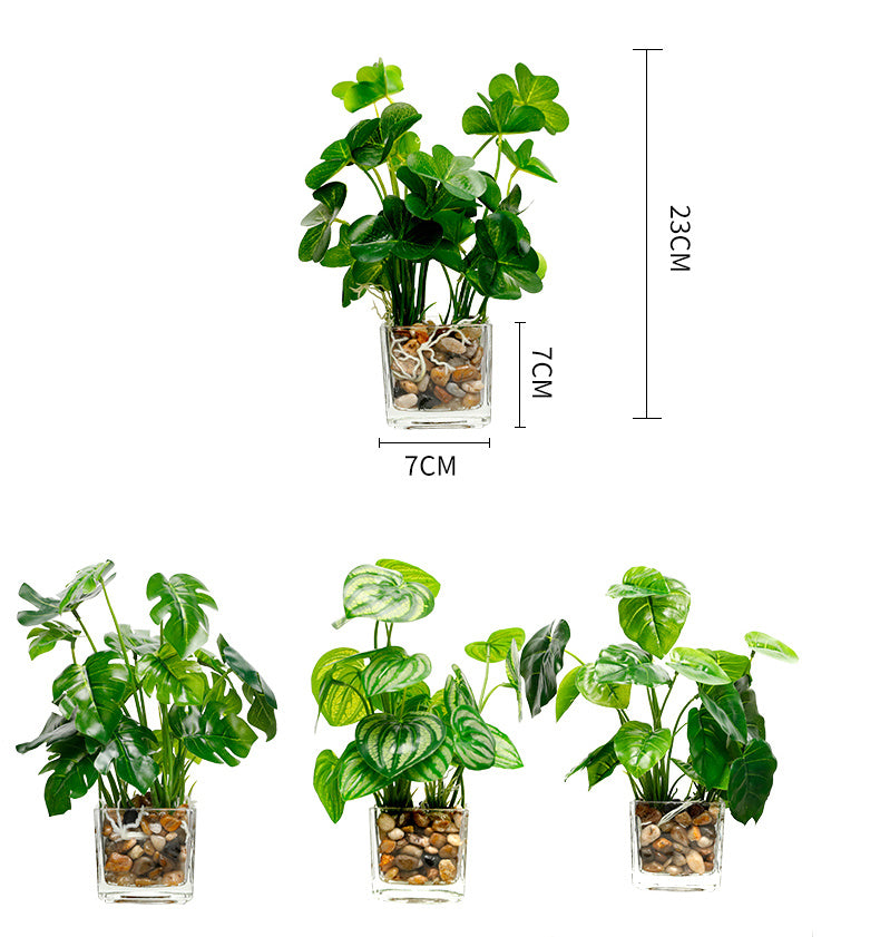 Planta de simulación de interior