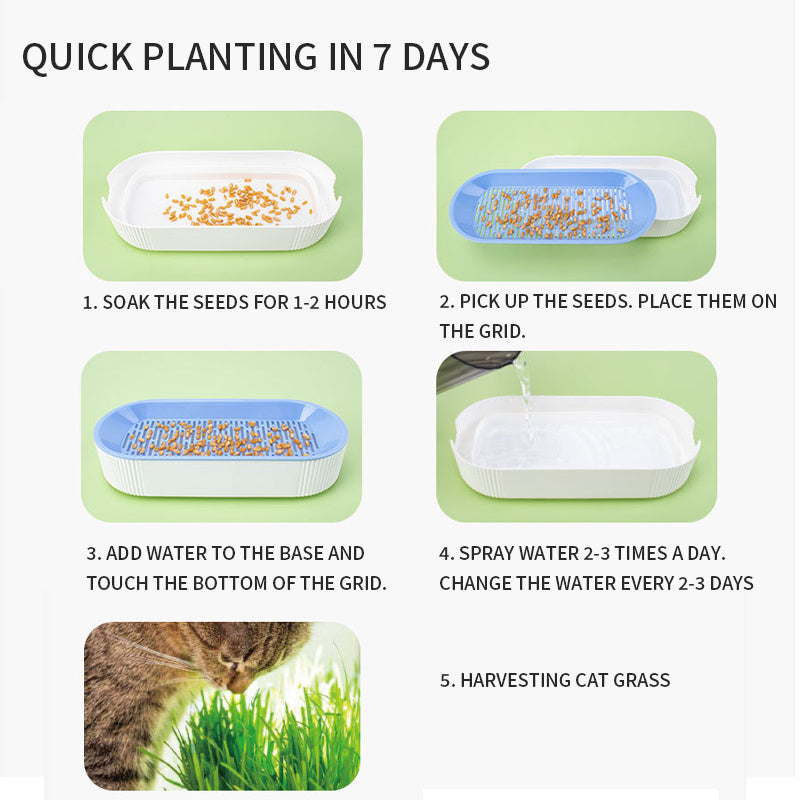 &nbsp;Hydroponic Cat Grass Growing Kit