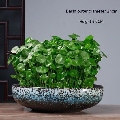 Non-porous Hydroponic Flowerpot Narcissus Hydrocotyle Household