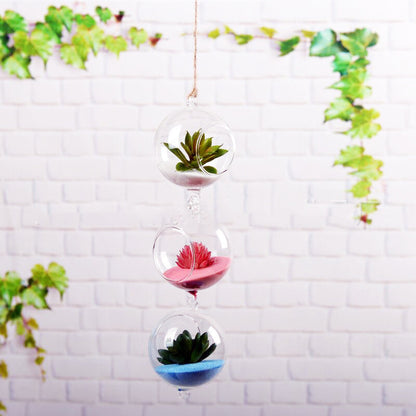 Hydroponic glass vase