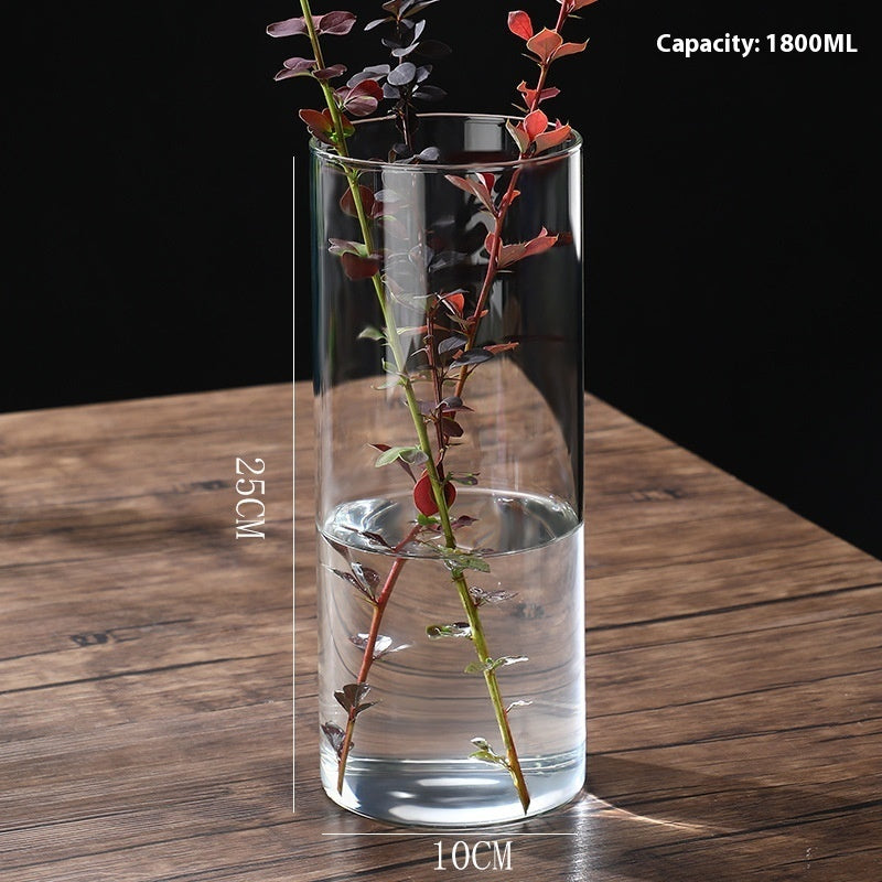 Indoor Tabletop Of High Borosilicate Glass Hydroponic Plant Bottle