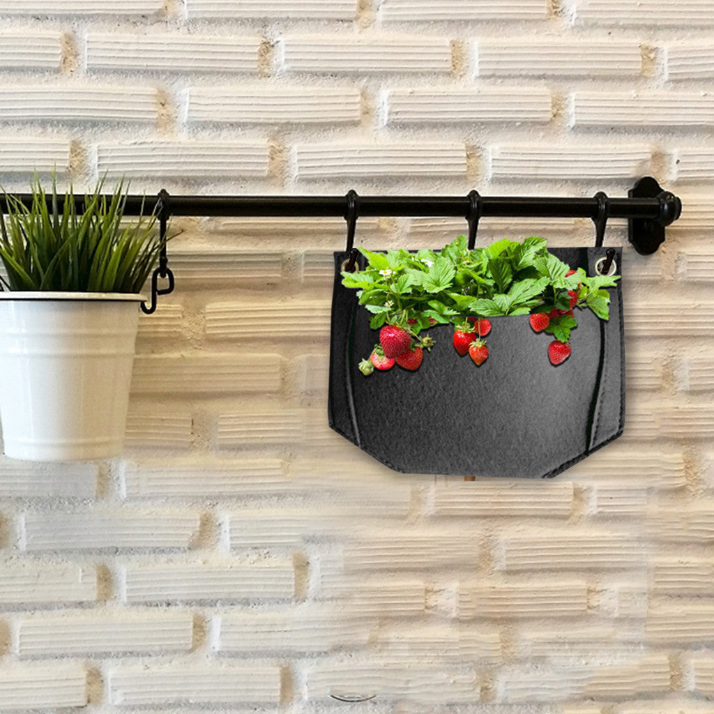 Three-dimensional plant growing bag