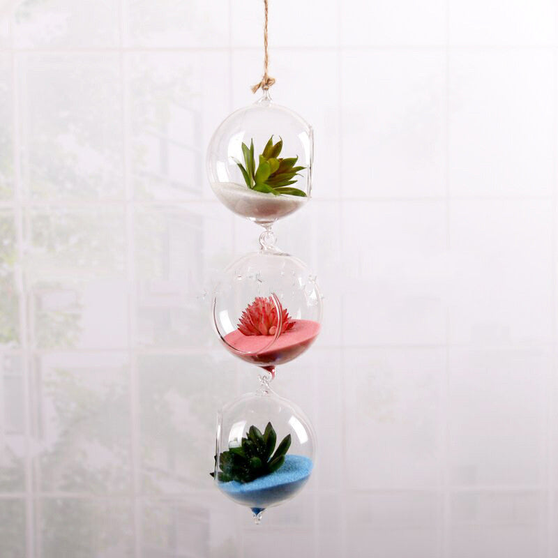 Hydroponic glass vase