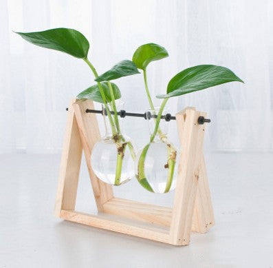 Transparent wooden frame for hydroponic plants