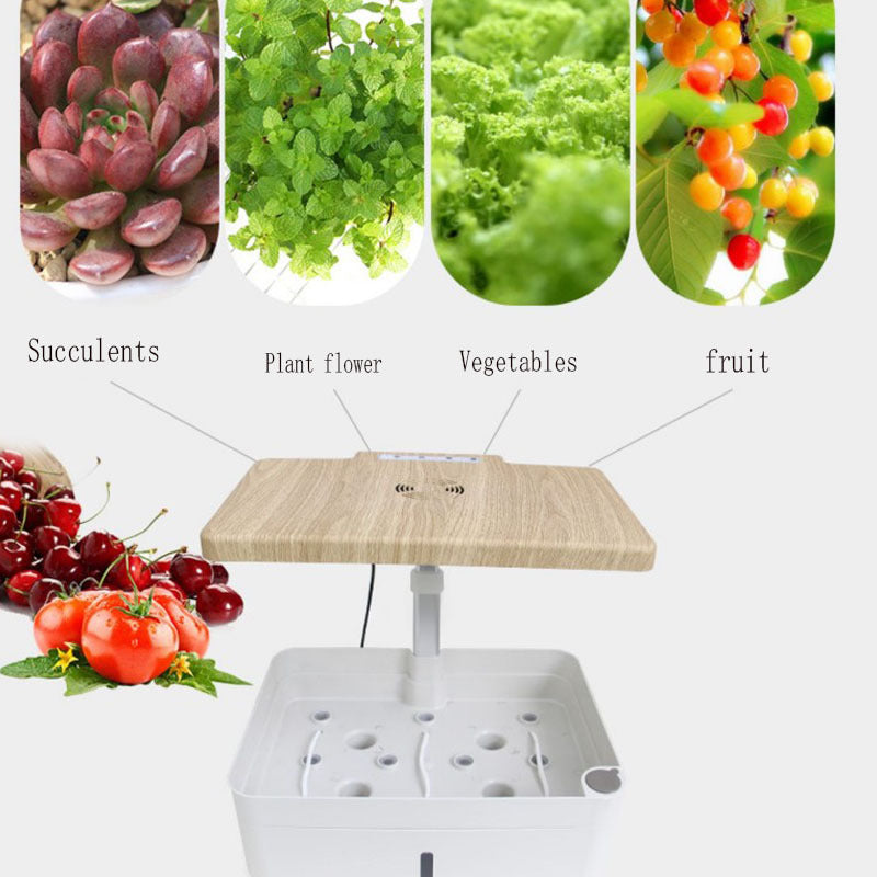 Automated Hydroponic Vegetable Pot for Home