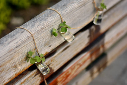 Jarrón de cristal con planta hidropónica y colgante de cielo, serie Forest, colgante de botella