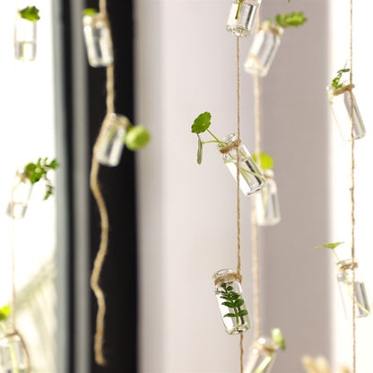 Jarrón de cristal con planta hidropónica y colgante de cielo, serie Forest, colgante de botella