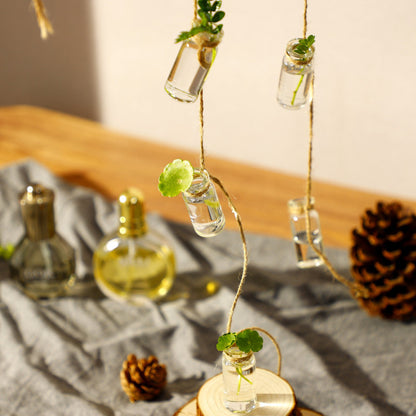 Jarrón de cristal con planta hidropónica y colgante de cielo, serie Forest, colgante de botella