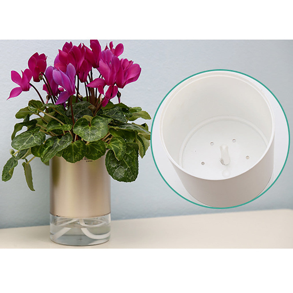 Double Transparent Hydroponic Plastic Flower Pot