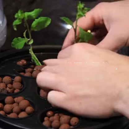 Caja hidropónica para cultivo de hortalizas en balcones, equipo para cultivo sin suelo, caja de plantación