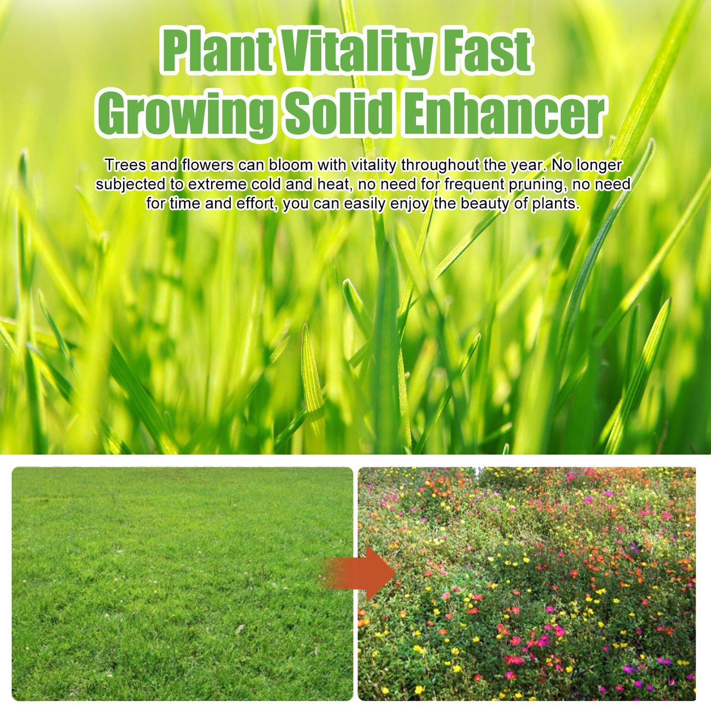 Plant Fertilizer Hair Root Growth Nutrient Solution