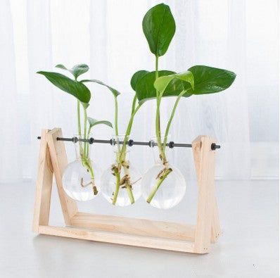 Transparent wooden frame for hydroponic plants