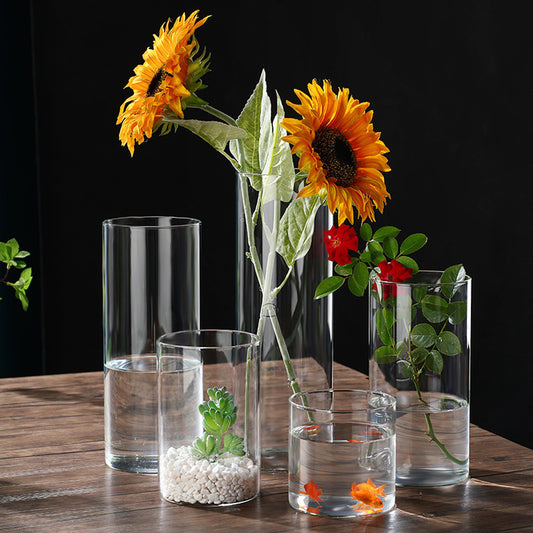 Indoor Tabletop Of High Borosilicate Glass Hydroponic Plant Bottle