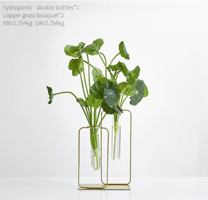 Transparent glass hydroponic green dill vase