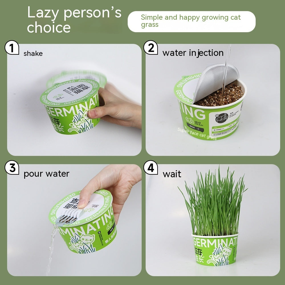 Hydroponic Cat Grass Hair Ball Cleaning Oral Snacks