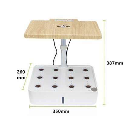 Automated Hydroponic Vegetable Pot for Home