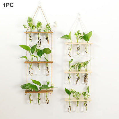 Wall-mounted Wall Hydroponic Glass Test Tube Vase