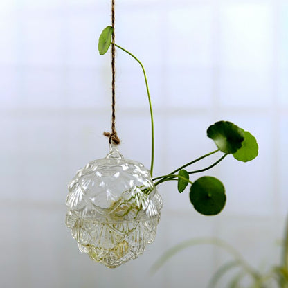 Hanging Transparent Glass Vase Simple Hydroponic Small Hanging Bottle