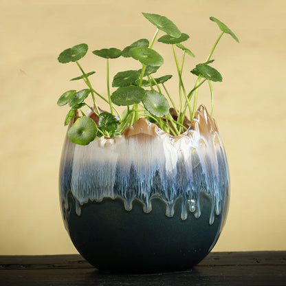 Hydrocotyle Hydroponic Ceramic Non-porous Flowerpot