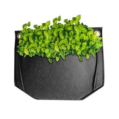 Three-dimensional plant growing bag