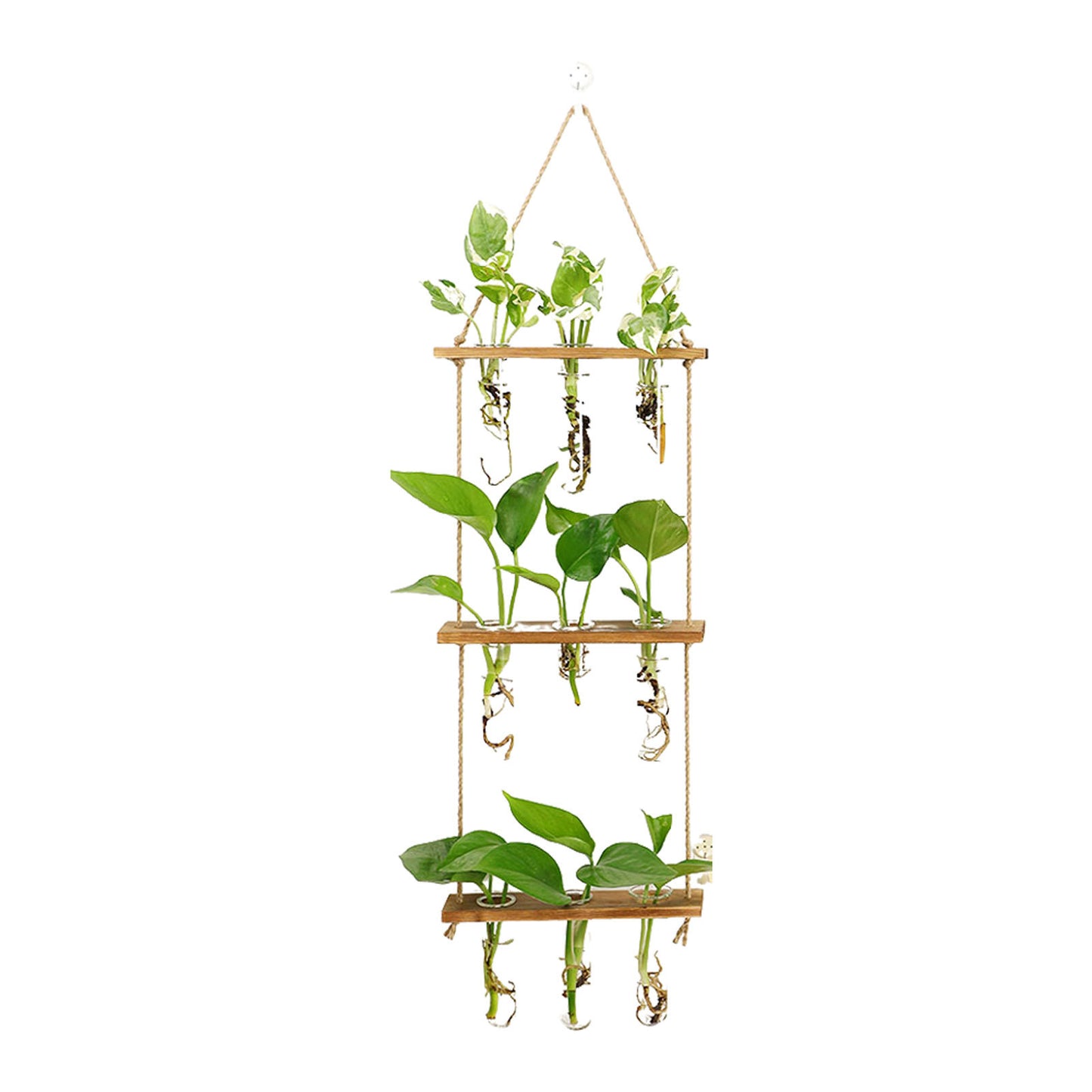 Wall-mounted Wall Hydroponic Glass Test Tube Vase