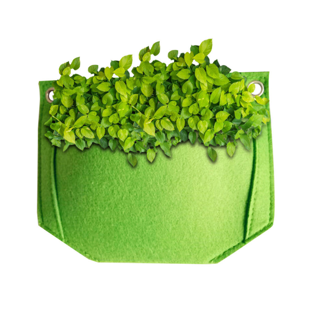 Three-dimensional plant growing bag