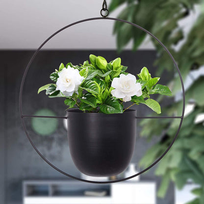 Iron Hanging Hydroponic Plant Hanging Orchid Pots