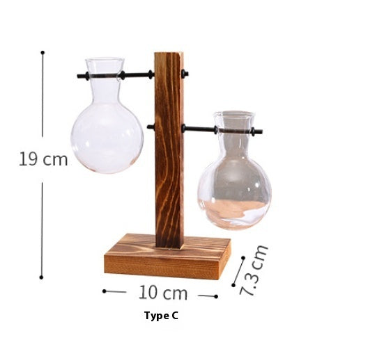 Jarrón decorativo de vidrio transparente con plantas hidropónicas creativas