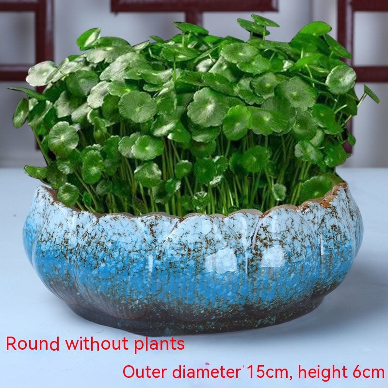 Non-porous Hydroponic Flowerpot Narcissus Hydrocotyle Household