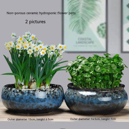 Non-porous Hydroponic Flowerpot Narcissus Hydrocotyle Household