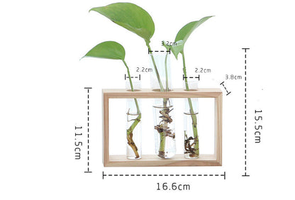 Small log hydroponic plant glass vase decoration