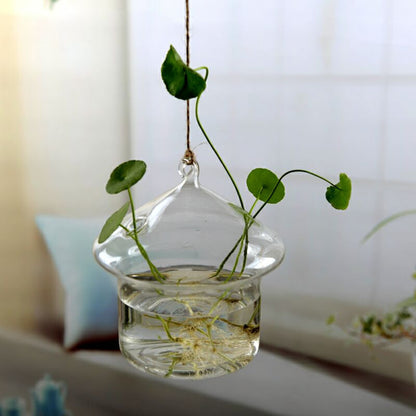 Hanging Transparent Glass Vase Simple Hydroponic Small Hanging Bottle