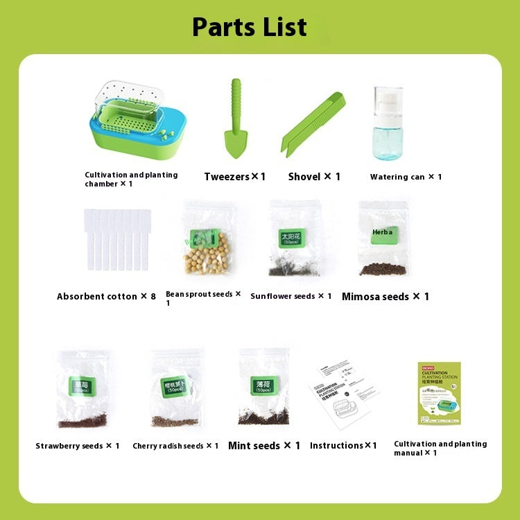 Exciting Hydroponics Observation Box for Kids