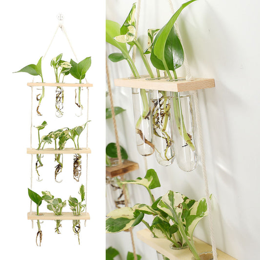 Wall-mounted Wall Hydroponic Glass Test Tube Vase