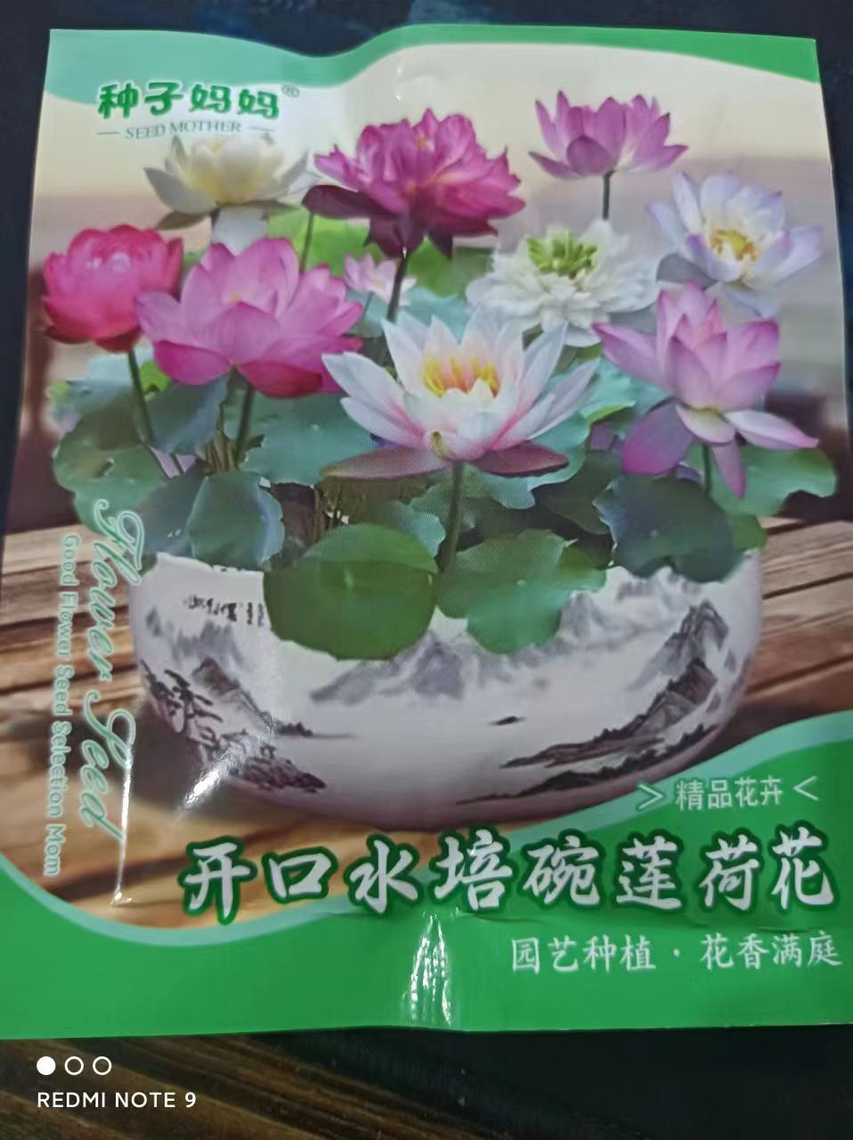 Open Bowl Lotus Seed Hydroponic Pot