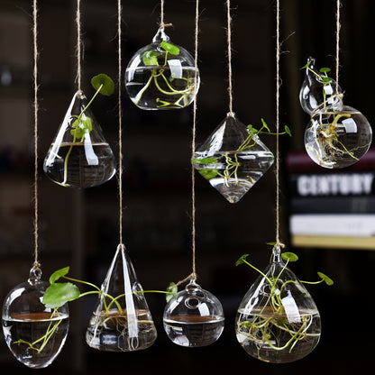 Hanging Transparent Glass Vase Simple Hydroponic Small Hanging Bottle