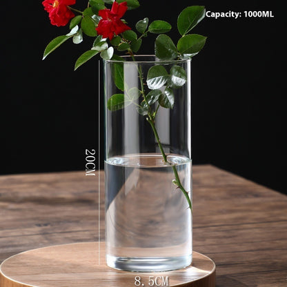 Indoor Tabletop Of High Borosilicate Glass Hydroponic Plant Bottle