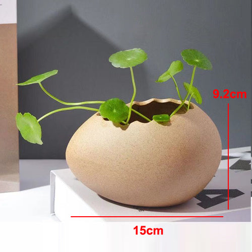 Creative Eggshell Ostrich Eggs Dessert Bowl Minimalist Hydroponic Flower Containers