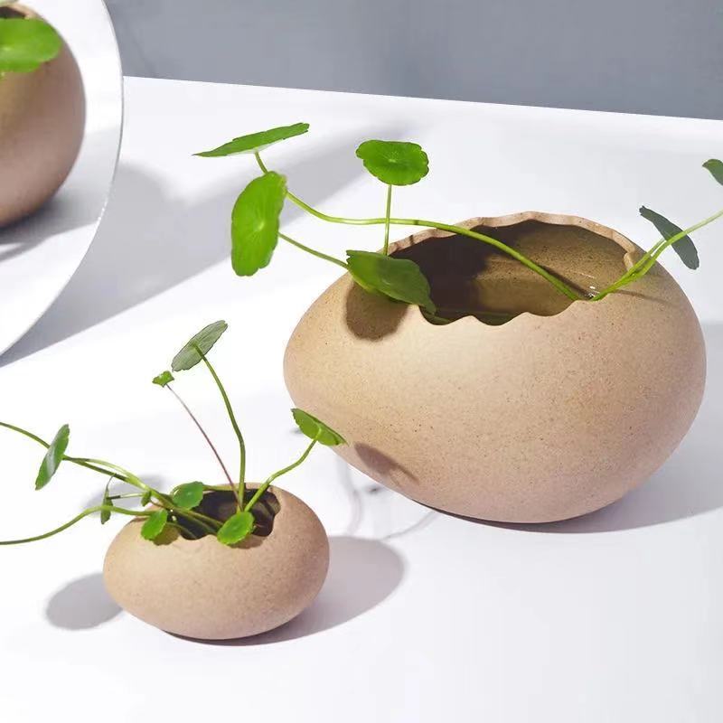 Creative Eggshell Ostrich Eggs Dessert Bowl Minimalist Hydroponic Flower Containers