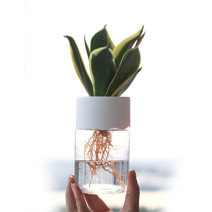 Transparent Small Pot Plant Hydroponic Desktop