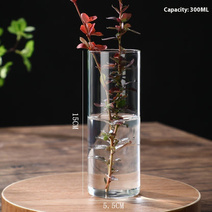 Indoor Tabletop Of High Borosilicate Glass Hydroponic Plant Bottle