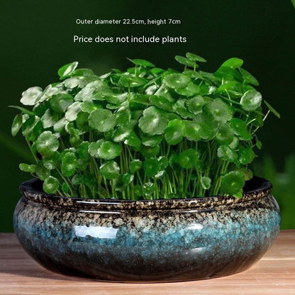 Non-porous Hydroponic Flowerpot Narcissus Hydrocotyle Household