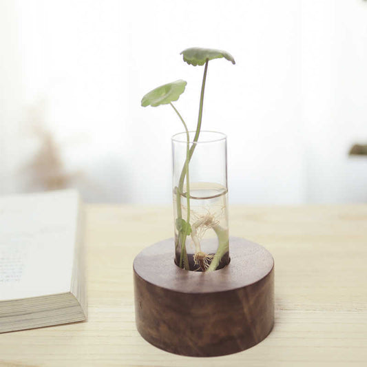 Desktop Hydroponic Decoration Minimalist Creative Test Tube Flower Stand