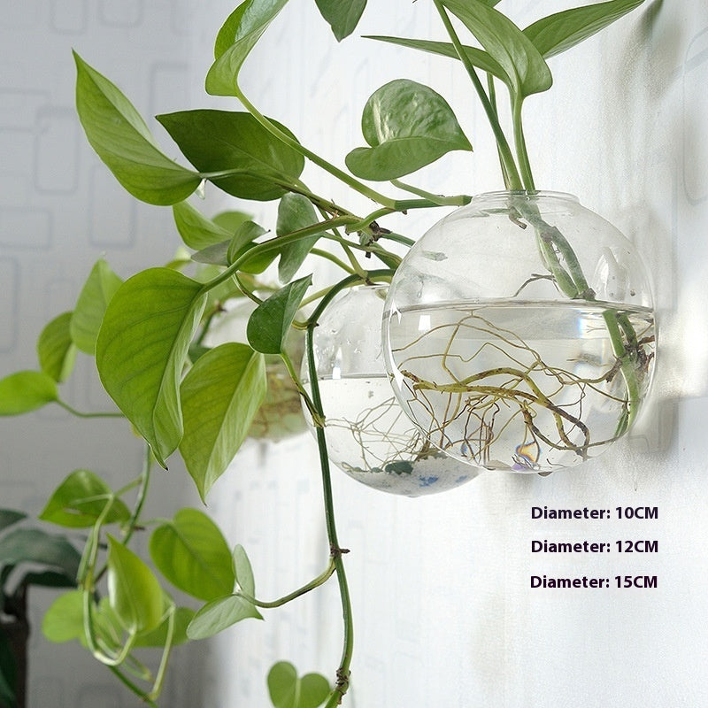 Creative Hydroponic Hanging Transparent Glass Vase